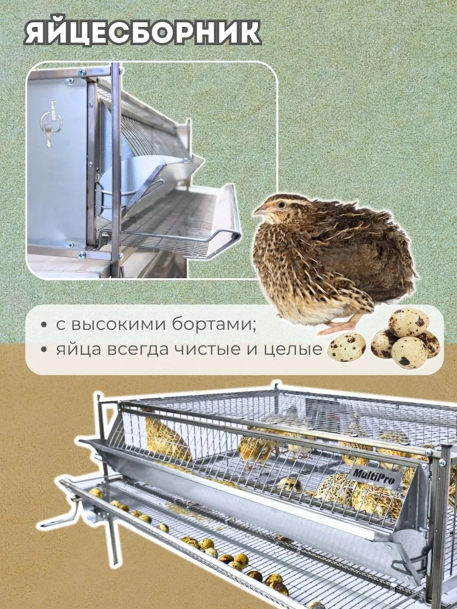 Клетка для перепелов "Люкс-сетка" 2-1 на 110 голов "МультиПро". Фото 4