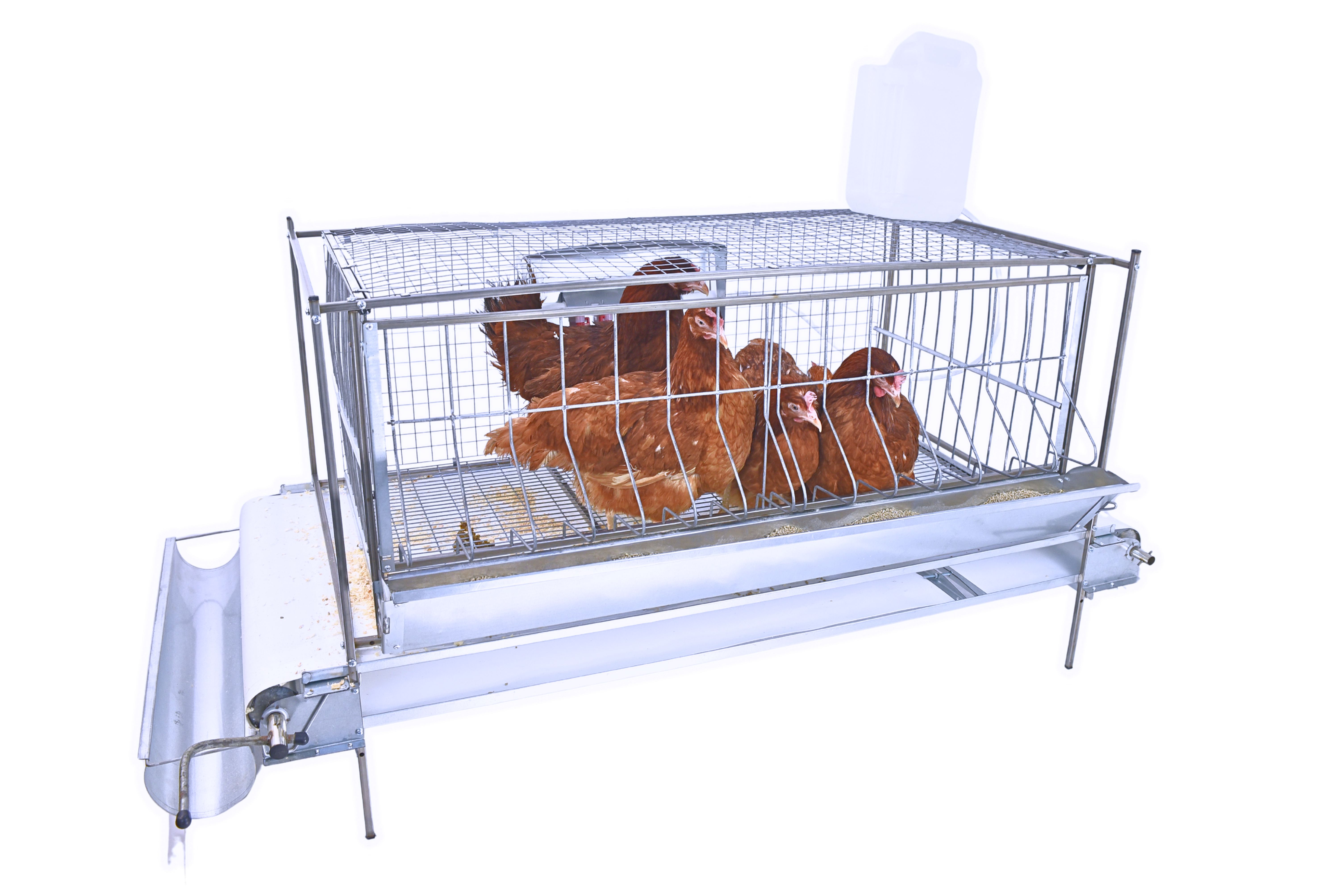 Клетка для бройлеров "Люкс-сетка" 1-12 "МультиПро". Фото 5