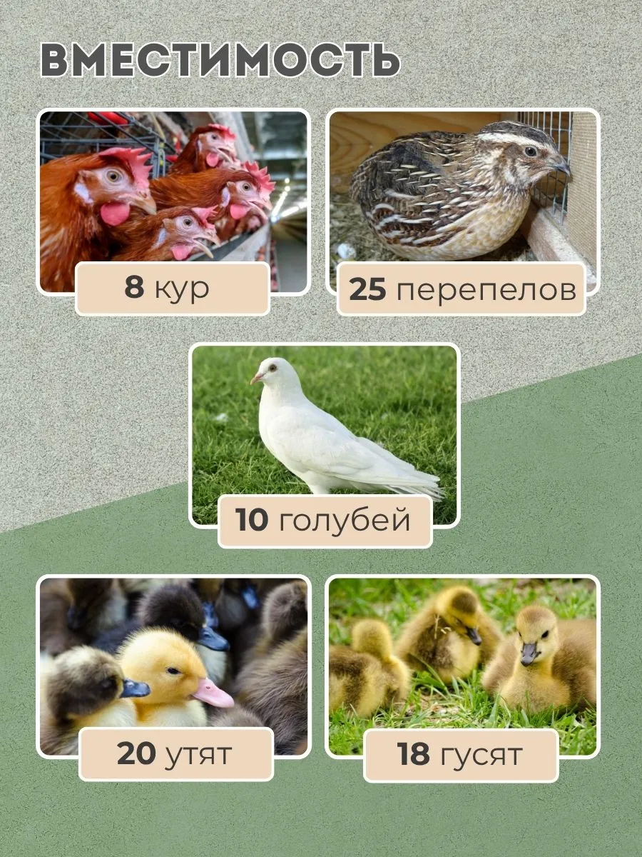 Клетка-переноска для птицы с 1 дверцей. Фото 4