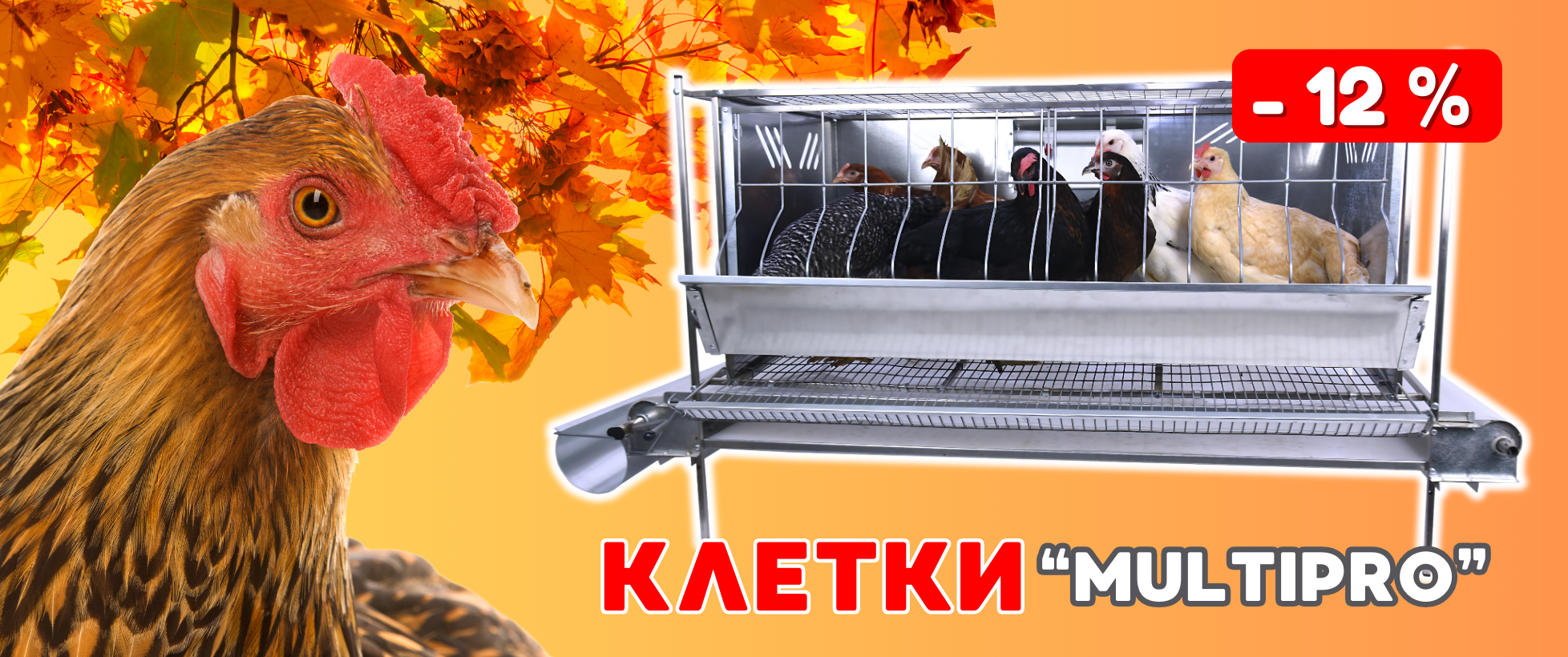БОЛЬШАЯ РАСПРОДАЖА! Скидка 12 % на клетки серии "Multipro"! 