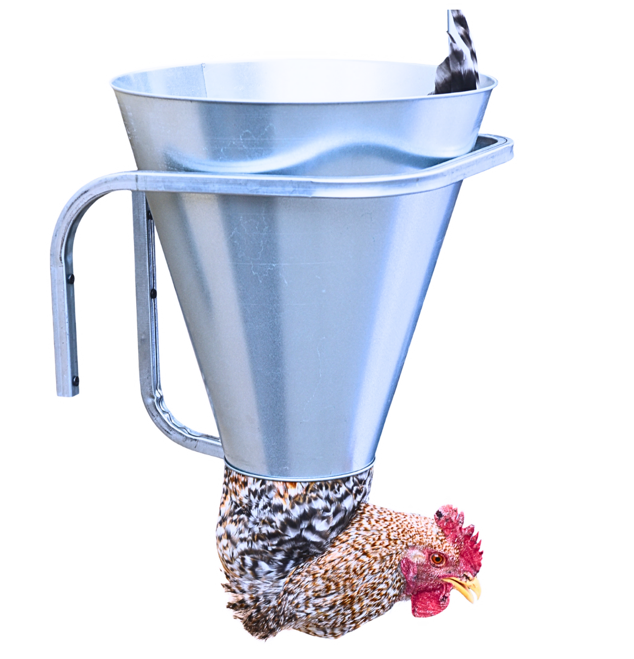 Конус для убоя "XL" усиленный с кронштейном крепления - (D-145/410; Н-410). Фото 9 Конус для убоя "XL" усиленный с кронштейном крепления - (D-145/410; Н-410). Фото 9