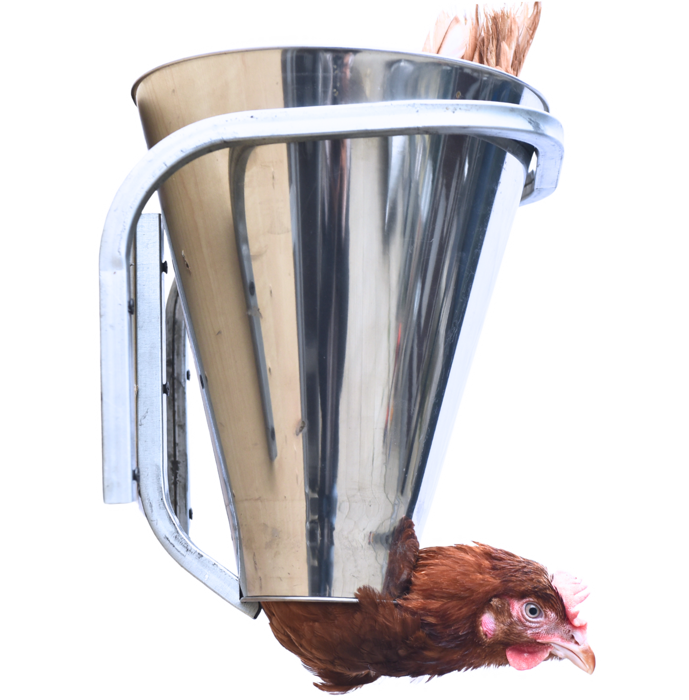 Конус для убоя  "М" с кронштейном крепления - (D-85/230; Н-280). Фото 17