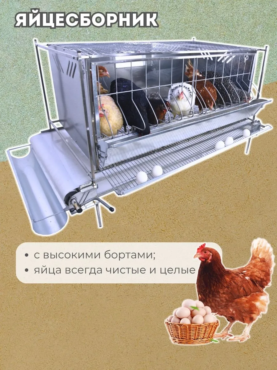 Клетка для кур-несушек "Люкс-сетка" 2-12 "МультиПро". Фото 5 Клетка для кур-несушек "Люкс-сетка" 2-12 "МультиПро". Фото 5