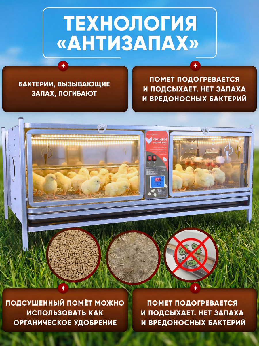 Рамный цифровой брудер 0717 Премиум. Фото 4