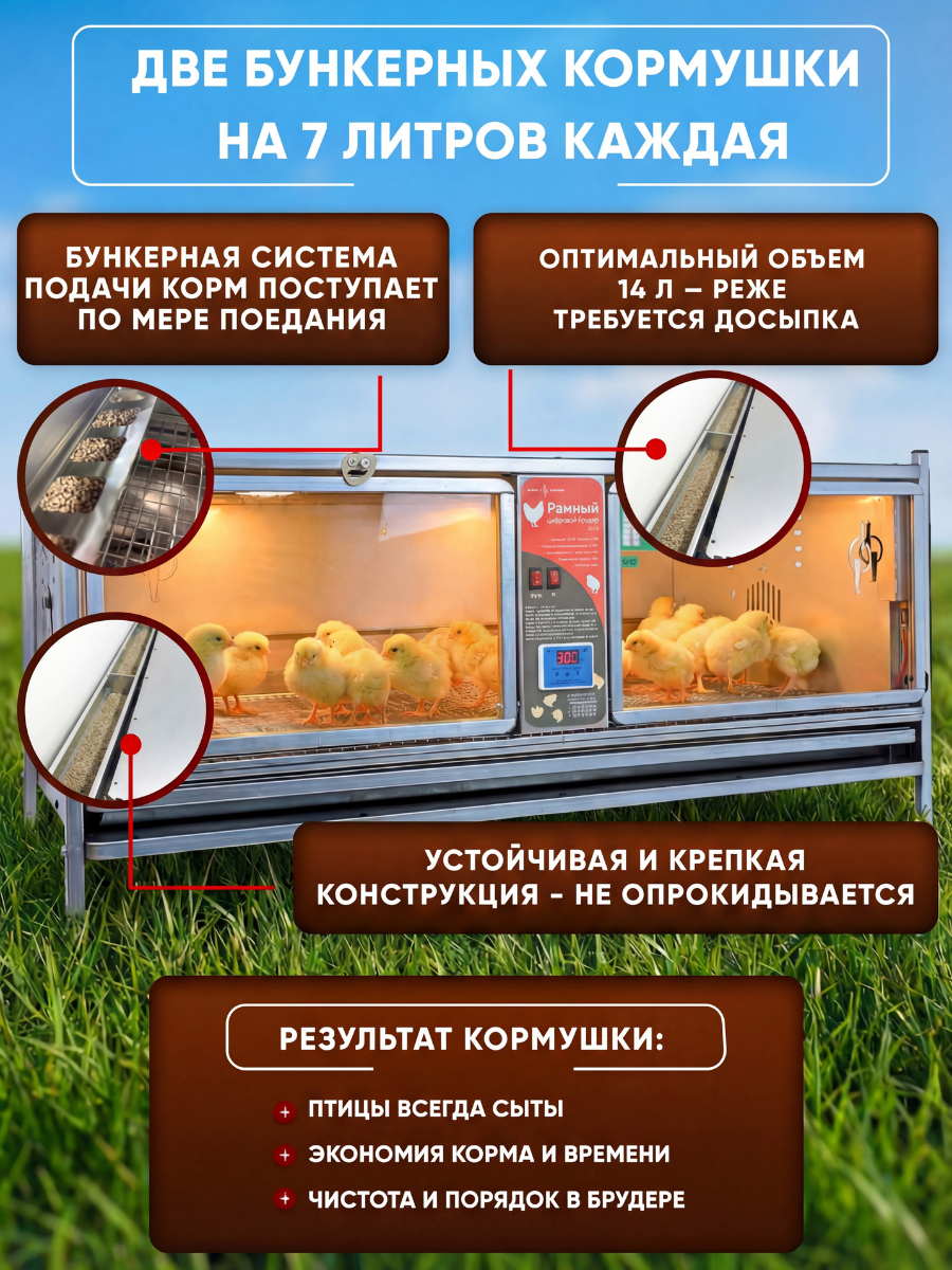 Рамный цифровой брудер 0717 Премиум. Фото 5