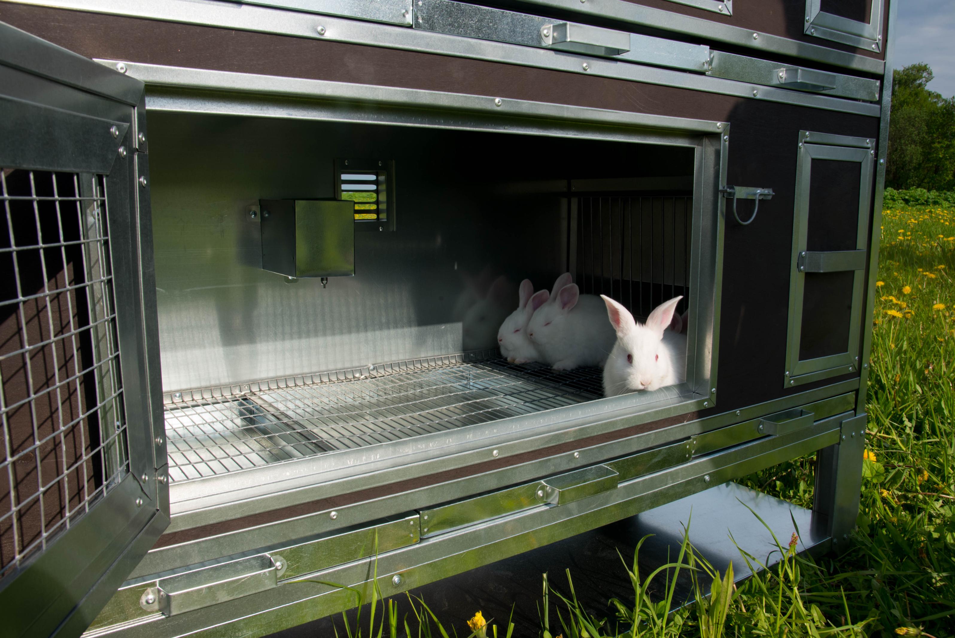 Отопление крольчатников, отопление для кроликов