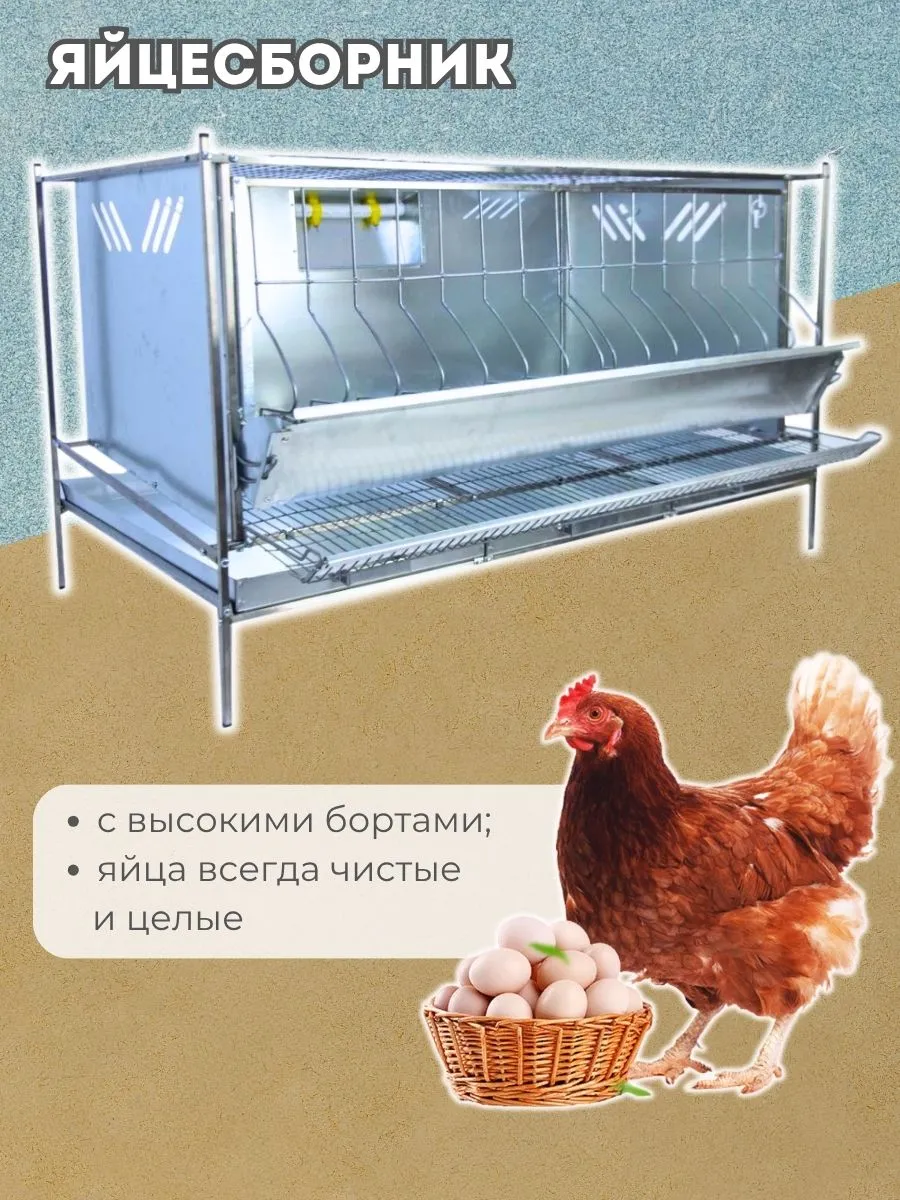 Клетка для кур-несушек "База-металл" 3-12 "МультиПро". Фото 4