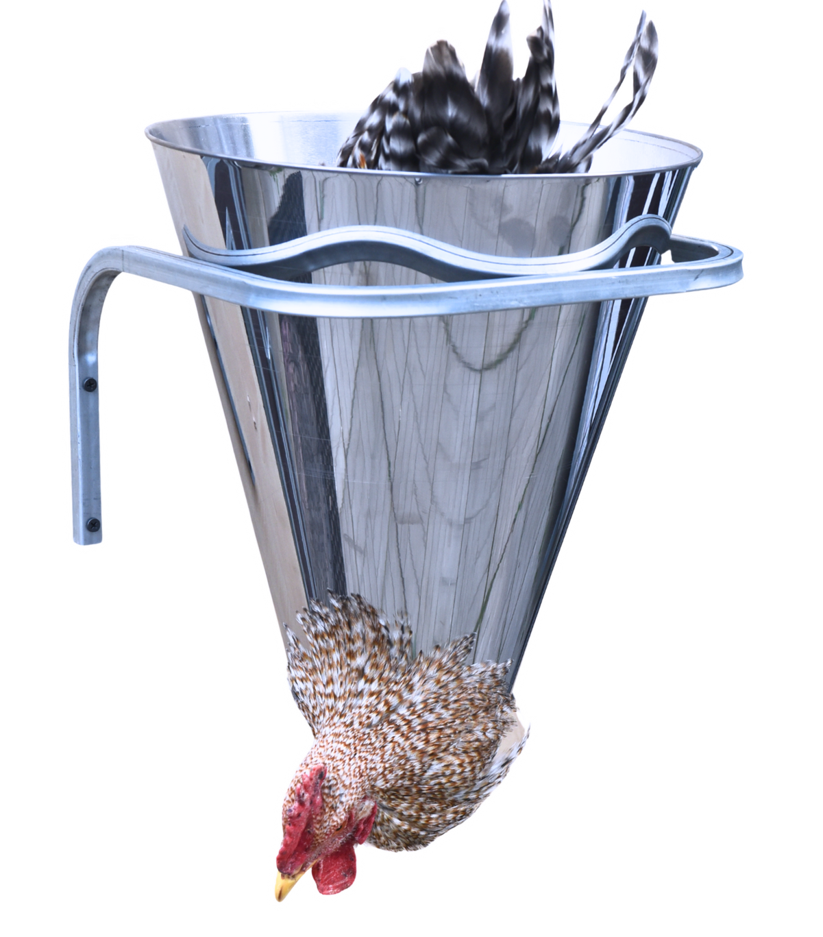 Конус для убоя "XL" усиленный с кронштейном крепления - (D-145/410; Н-410). Фото 14 Конус для убоя "XL" усиленный с кронштейном крепления - (D-145/410; Н-410). Фото 14