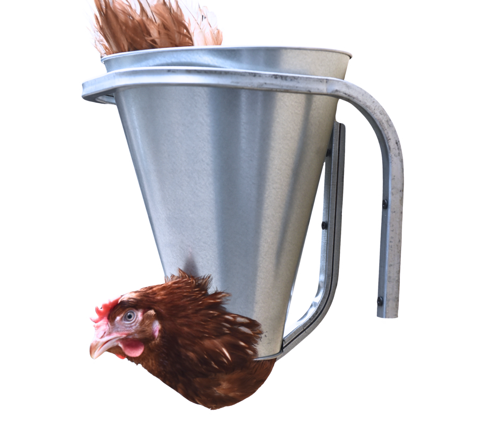 Конус для убоя "S" с кронштейном крепления-(D-75/190; H-220). Фото 2