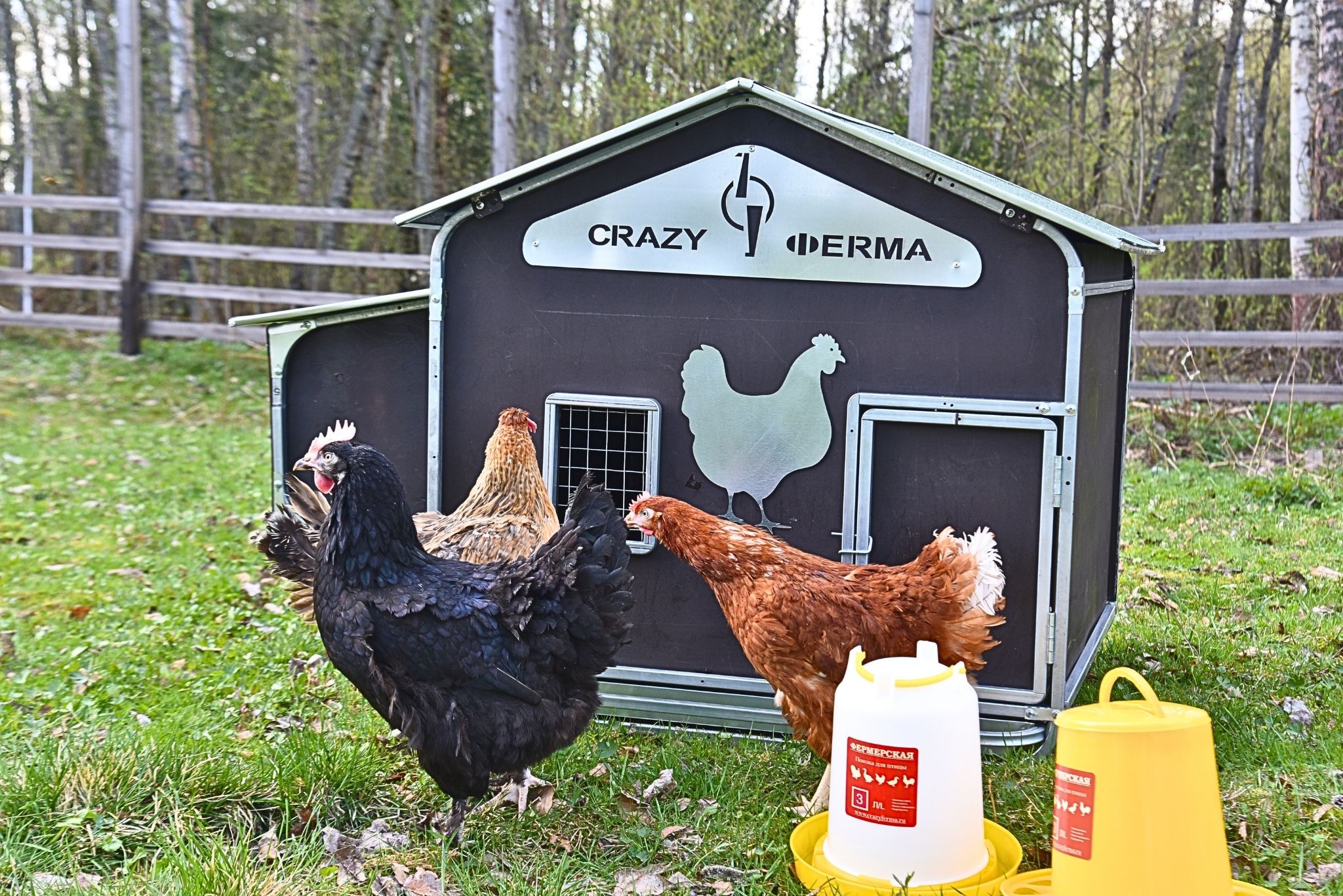 Курятник "Фаворит" на 8-10 кур. Фото 13