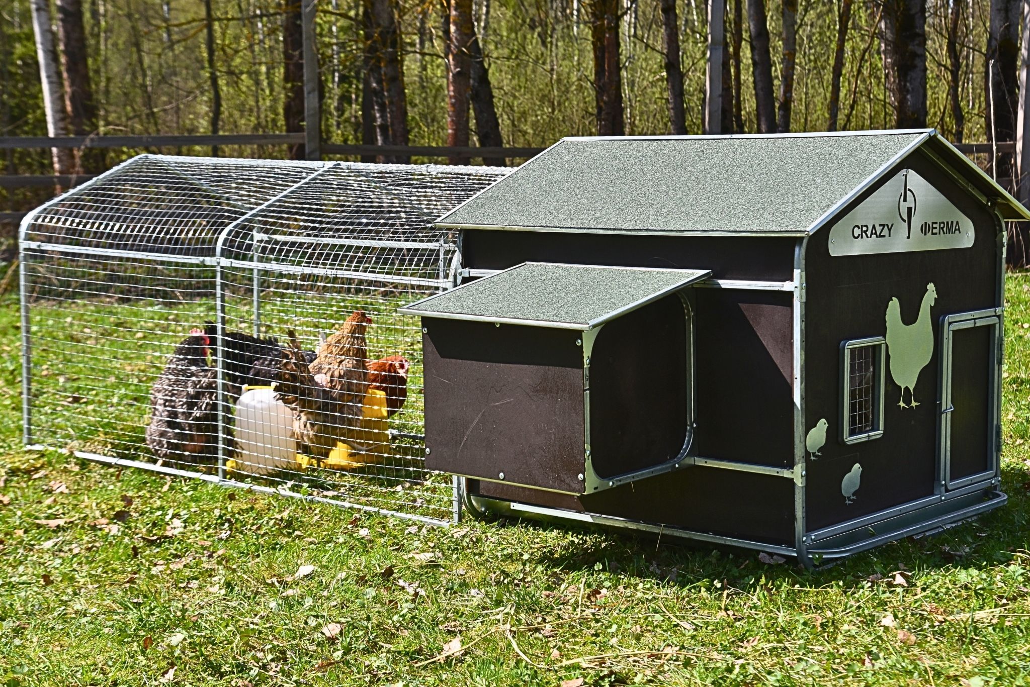 Выгул для курятника "Фаворит" на 8-10 кур. Фото 20