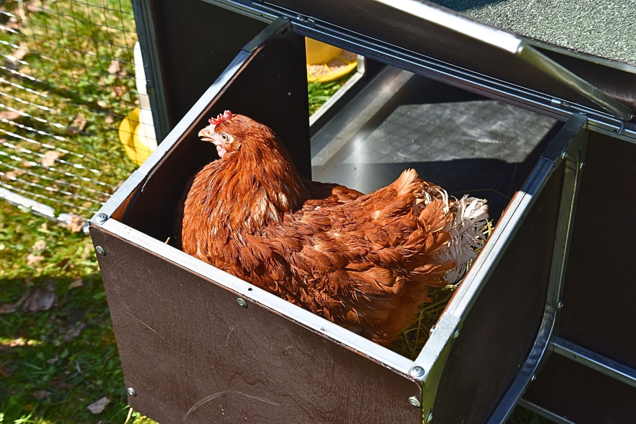 Курятник "Фаворит" на 8-10 кур. Фото 26