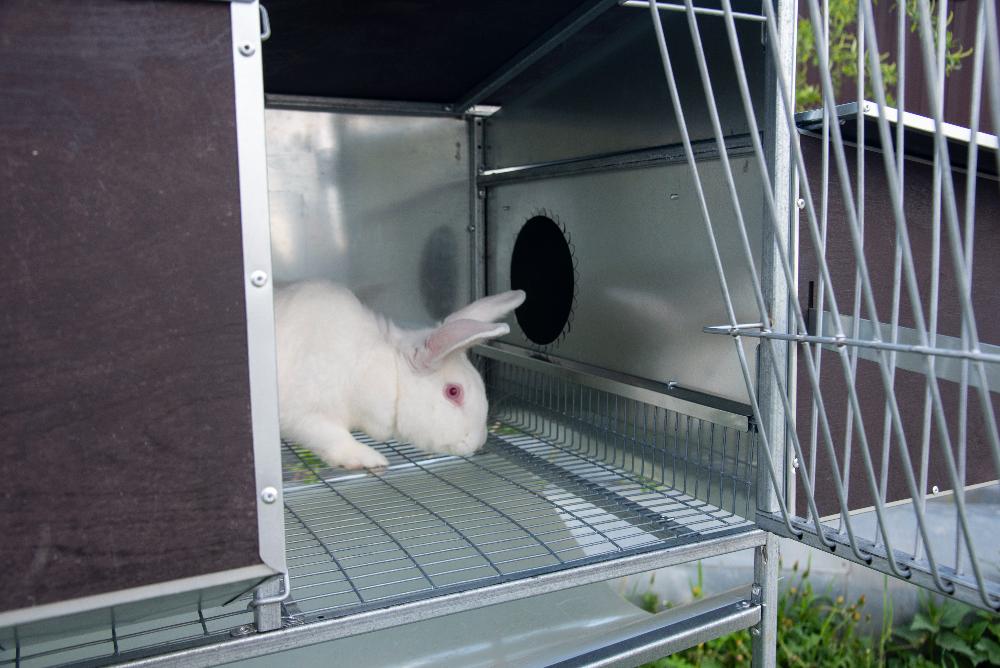 Маточник для кроликов своими руками – размеры и чертежи клеток