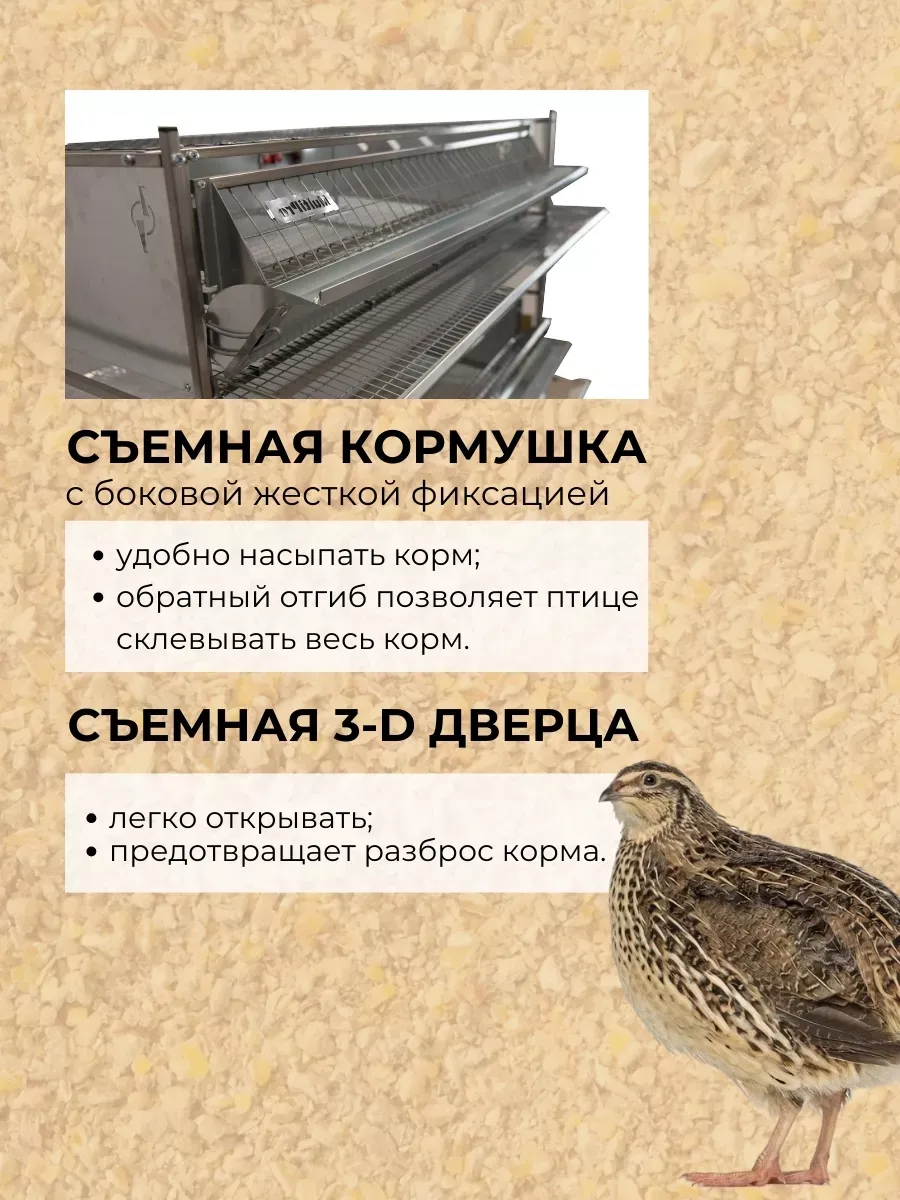 Клетка для перепелов "Люкс-металл" 2-5 на 550 голов "МультиПро". Фото 7 Клетка для перепелов "Люкс-металл" 2-5 на 550 голов "МультиПро". Фото 7