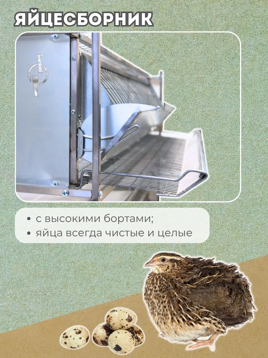 Клетка для перепелов "Практик-металл" на 275 голов "МультиПро". Фото 4