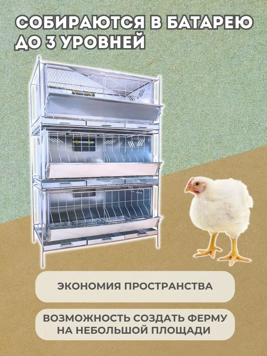 Клетка для бройлеров "Практик-сетка" 1-12 "МультиПро". Фото 5 Клетка для бройлеров "Практик-сетка" 1-12 "МультиПро". Фото 5