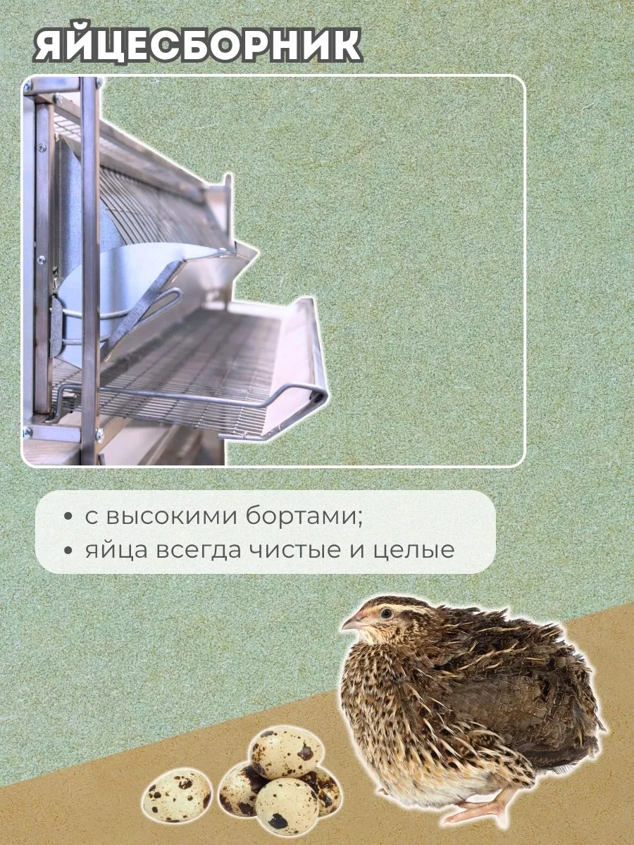 Клетка для перепелов "Практик-сетка" на 55 голов "МультиПро". Фото 4