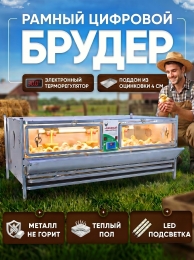 Брудеры для индюшат
