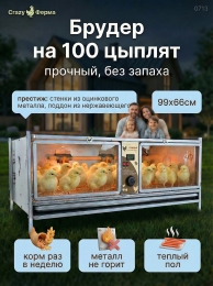 Брудеры для утят  