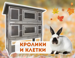 Кролики и клетки