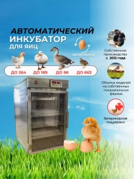 Инкубаторы для цесарок