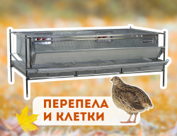Перепела и клетки