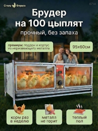 Брудеры для утят  