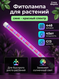 Фитолампы