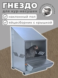 Гнезда