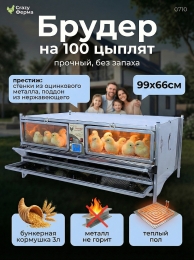 Брудеры для утят  