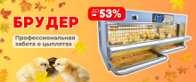 БОЛЬШАЯ РАСПРОДАЖА! Скидка до -53% на брудеры для цыплят! 