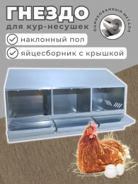 Гнезда