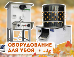 Оборудование для убоя
