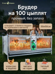 Брудеры для утят  