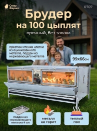 Брудеры для утят  