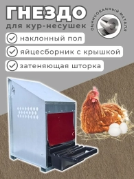 Куры и клетки