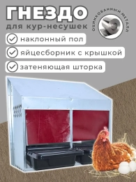 Куры и клетки