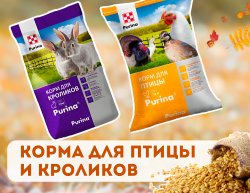 Корма для птицы и кроликов