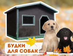Будки для собак