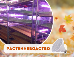 Растениеводство