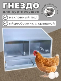 Гнезда