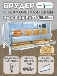 Брудеры для утят  