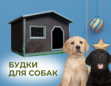 Будки для собак