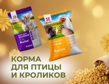 Корма для птицы и кроликов