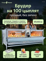 Брудеры для утят  