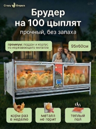 Брудеры для утят  