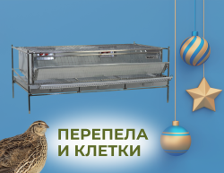 Перепела и клетки