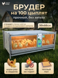 Брудеры для утят  