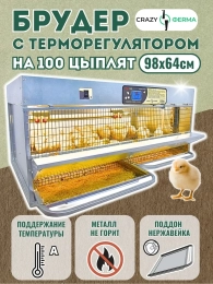 Брудеры для утят  