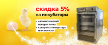 Скидки - 5% на инкубаторы для яиц!